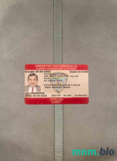 USA Nowy Jork licencja na ukryte noszenie broni – wygląd fotograficzny, wygląd skanu + realistyczny obraz, 2 w 1